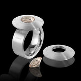 Top Disk Cameleon
