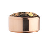 Champagne Rose Gold Stainless Steel CZ Zetting Opschroef MelanO Champagne Rose Gold Stainless Steel CZ Zetting Opschroef MelanO