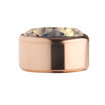 Salmon Rose Gold Stainless Steel CZ Zetting Opschroef MelanO Salmon Rose Gold Stainless Steel CZ Zetting Opschroef MelanO