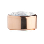 White Rose Gold Stainless Steel CZ Zetting Opschroef MelanO(mat) White Rose Gold Stainless Steel CZ Zetting Opschroef MelanO(mat)