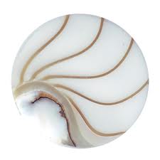 Nautilus White Large Mi Moneda