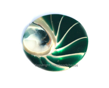 Nautilus Green Large Mi Moneda