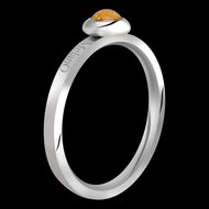 Edelsteen Tiger Eye ( Tijgeroog ) Ring 2mm Stainless Steel Melano