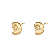 Oorbellen Twisted Shell met zirconia Gold