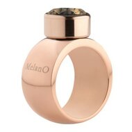 Sturdy 12mm Rose Gold Stainless Steel Opschroef Ring MelanO