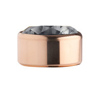 Transparant Black Rose Gold Stainless Steel CZ Zetting Opschroef MelanO
