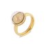 Globe Ring Goud MelanO ( ring is incl. glazen stolp )_