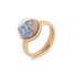 Globe Ring Rose gold MelanO ( ring is incl. glazen stolp )_