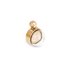 Globe Pendant Rose Gold MelanO ( is incl. glazen stolp )_