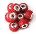 Rasberrie Bacio Rood 40-02_