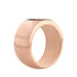 Sturdy 12mm Rose Gold Stainless Steel Opschroef Ring MelanO_