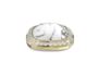 Howlite gold