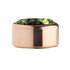 Olive Rose Gold Stainless Steel CZ Zetting Opschroef MelanO_