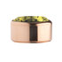 Lime Rose Gold Stainless Steel CZ Zetting Opschroef MelanO_