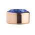 Blue Rose Gold Stainless Steel CZ Zetting Opschroef MelanO_