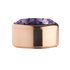 Purple Rose Gold Stainless Steel CZ Zetting Opschroef MelanO_