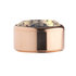 Salmon Rose Gold Stainless Steel CZ Zetting Opschroef MelanO_