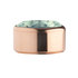 Turquoise Rose Gold Stainless Steel CZ Zetting Opschroef MelanO_