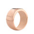 Sturdy 10mm Rose Gold Stainless Steel Opschroef Ring MelanO_