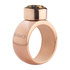 Sturdy 10mm Rose Gold Stainless Steel Opschroef Ring MelanO_