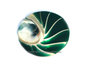 Nautilus Green Large Mi Moneda_