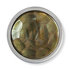 Brown Medium Tresoro  - Mi Moneda_